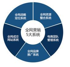 網絡營銷特性、營銷型網站與電子商務平臺開發運營的對比分析